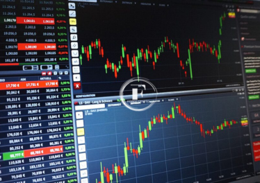 The Principles of Forex Markets