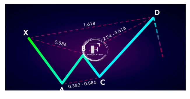 Harmonic Patterns Explained for Beginners