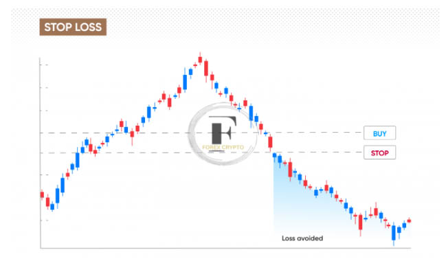 The ultimate guide to margin trading
