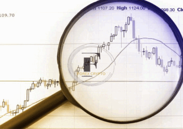 Forex Trading - Types of Market Analysis