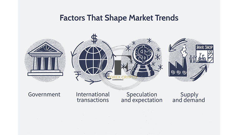 Forex Trading - Fundamental Market Forces