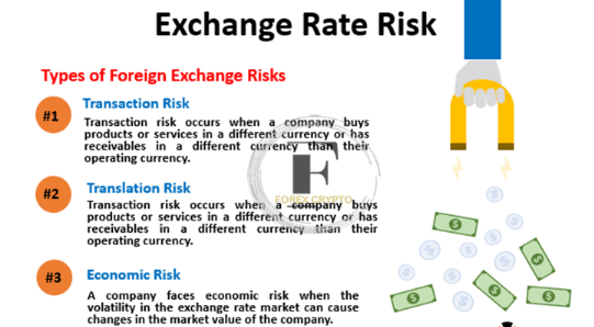 Forex Trading - Foreign Exchange Risks