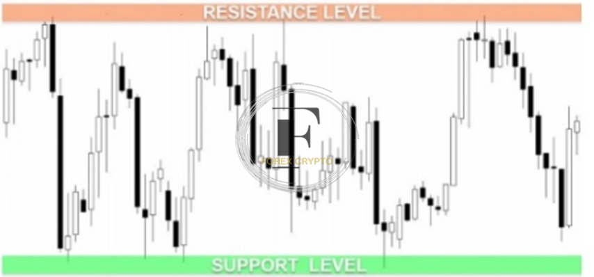 <strong>Forex Trading - Fundamental Market Forces</strong> 1 forex crypto