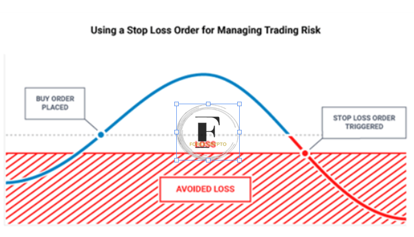 What exactly does "Forex Risk Management" entail? Study the Fundamentals